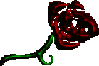 ToreadorR9.gif (1869 bytes)
