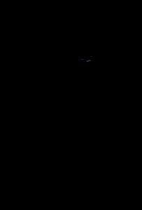 panther.gif (43943 bytes)