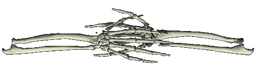 hands.gif (11606 bytes)