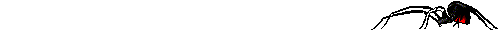 spidwalk.gif (6174 bytes)