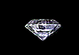 splwn.gif (19997 bytes)